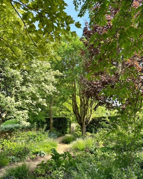 Kings Cottage